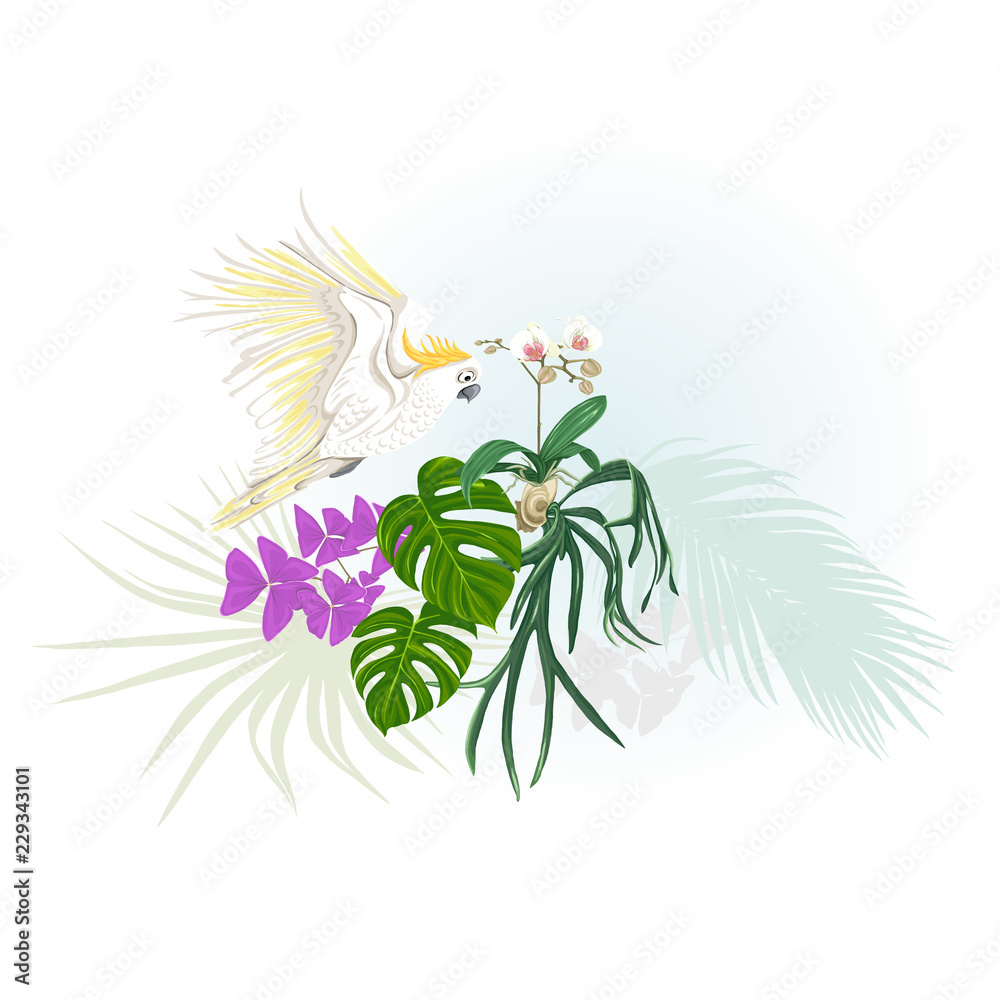 A composition of tropical plants, palm leaves A composition of tropical plants, palm leaves