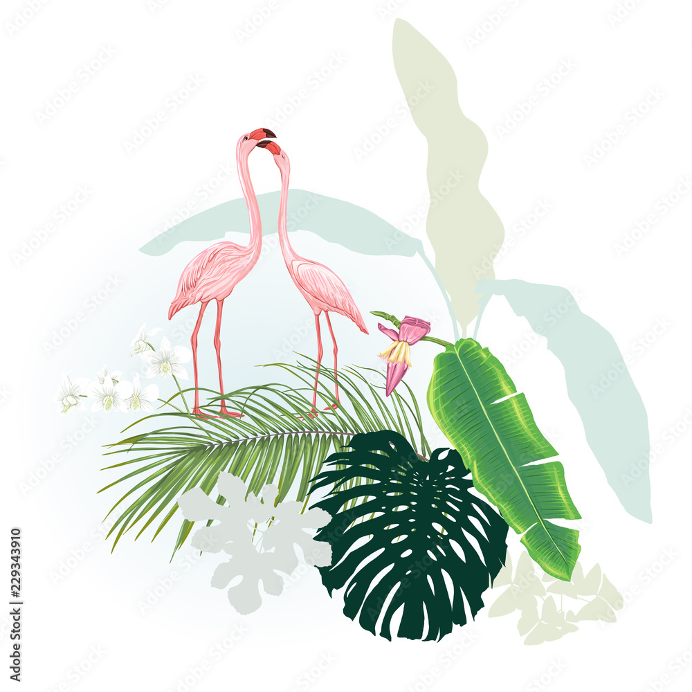 Fototapeta premium A composition of tropical plants, palm leaves