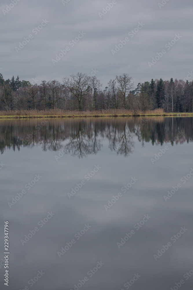 Fototapeta premium pond in bavaria