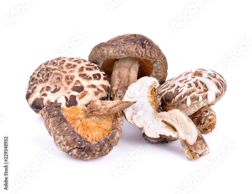 Dried shiitake mushroom on white