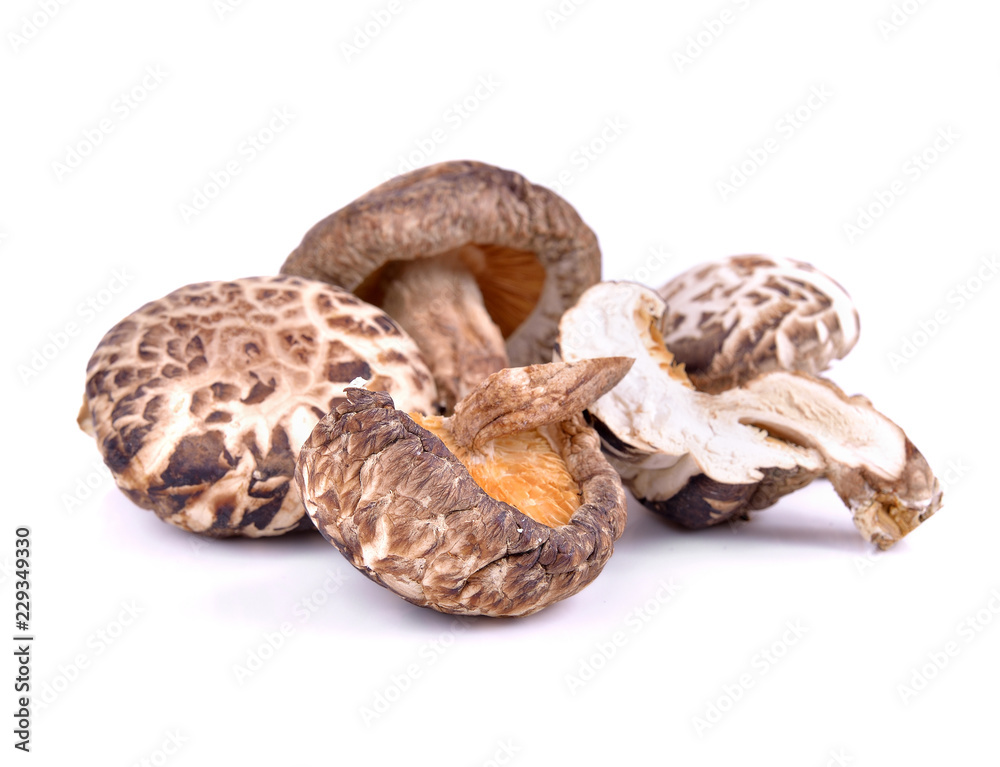 Dried shiitake mushroom on white Dried shiitake mushroom on white