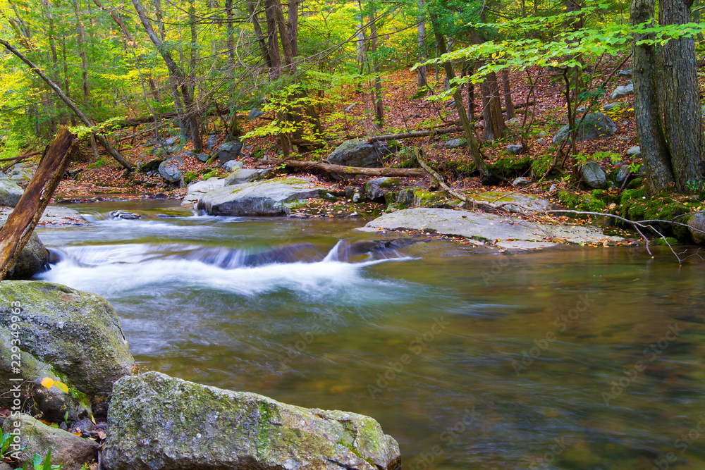 Swift Appalachian Mountain Steam In Autumn Swift Appalachian Mountain Steam In Autumn