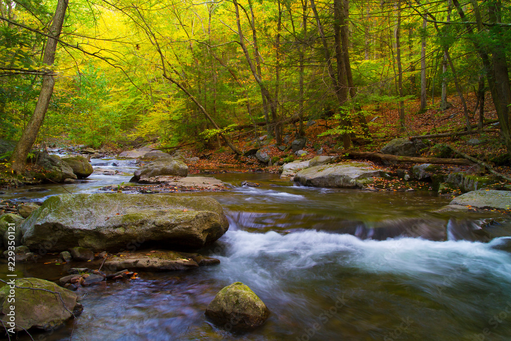Woodland Stream Autumn Landscape Appalachian Mountains
