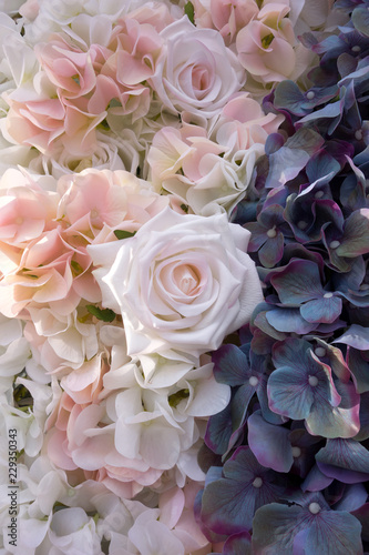 Wedding background of fresh flowers of white and pink roses and hydrangea