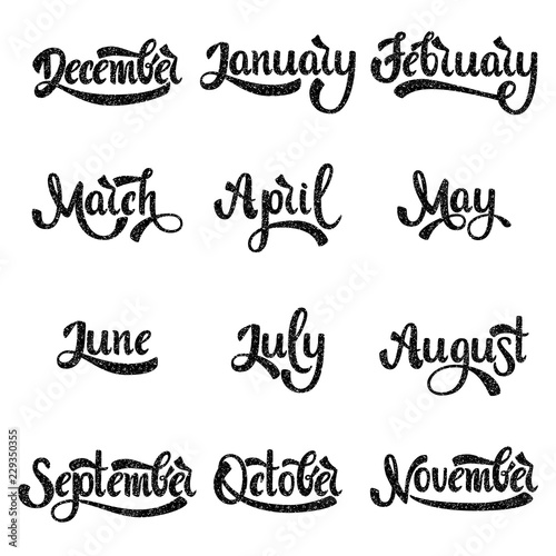 A Set Of Month Names January February March April May June July August September October November December Handwritten Lettering Text Modern Calligraphy Vector Vector De Stock Adobe Stock