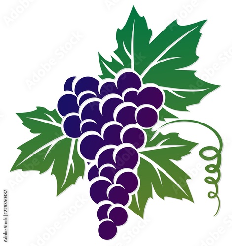 Symbol of grapes.