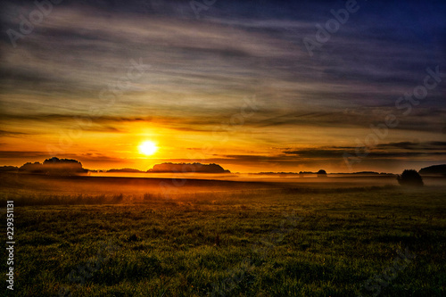 Foggy morning in the village. Bright fine sunrise. Colorful sunrise outside. Fantastic foggy field with fresh green grass.