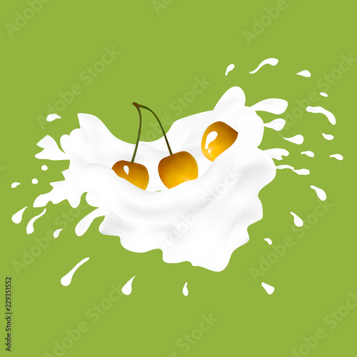 Yellow sweet cherries falling into the milky splash. Vector illustration