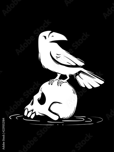 Death Skull Crow Illustration