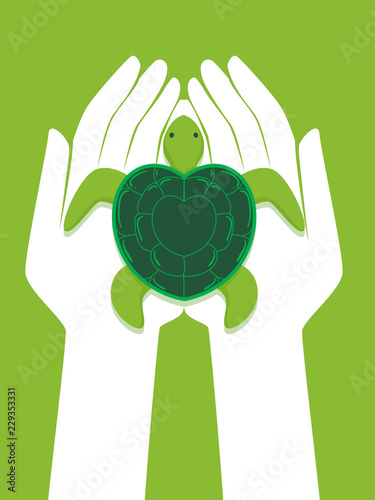 Hands Protect Marine Turtle...