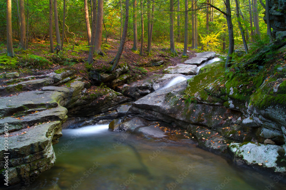 Waterfall Flowing Into Woodland Gorge, Autumn Woodland Scene