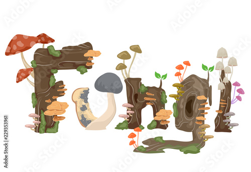 Botany Fungi Illustration