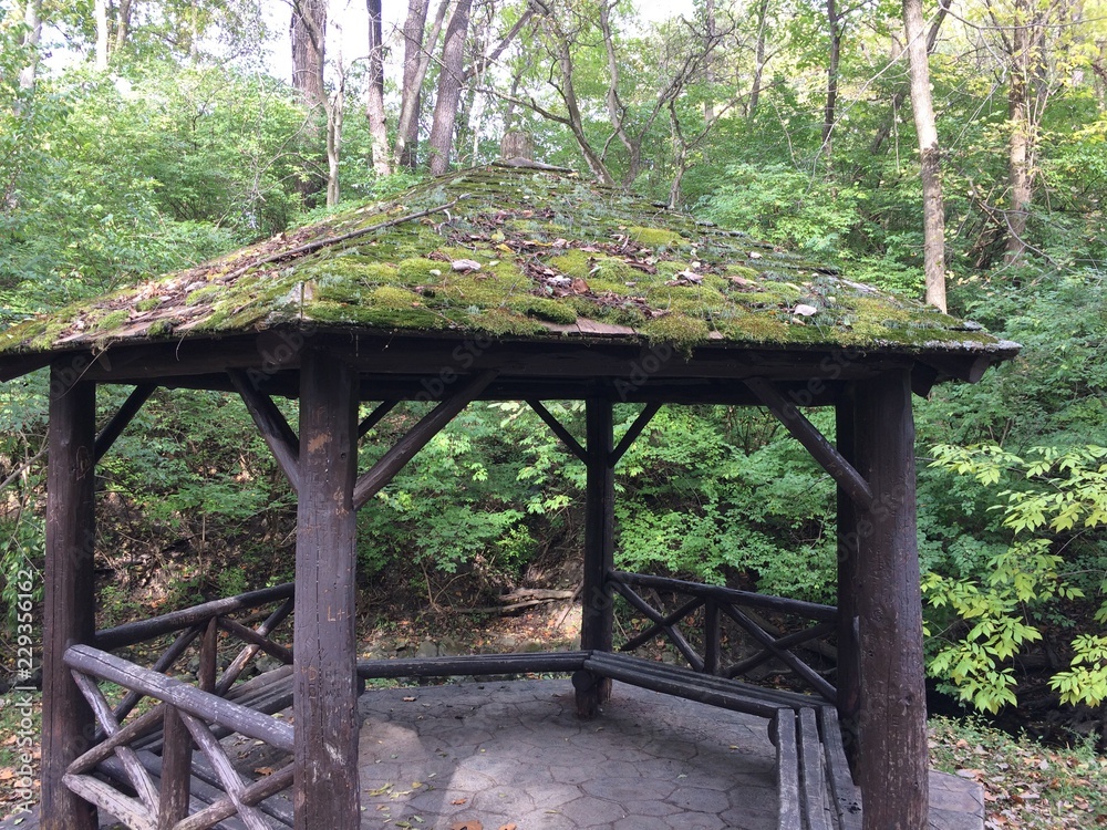 moss covered gazebo in forest moss covered gazebo in forest