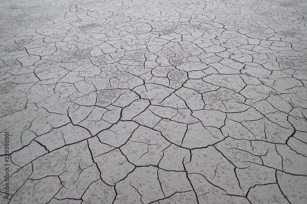 Dry cracked earth, the bottom of the lake Dry cracked earth, the bottom of the lake