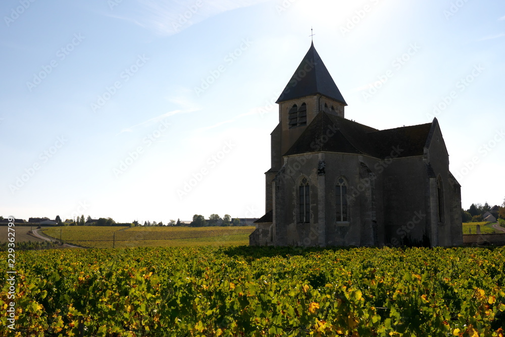 Chablis,France-October 16, 2018: Golden Gate of Burgundy, village of Chablis in Bourgogne region, famous for white wine