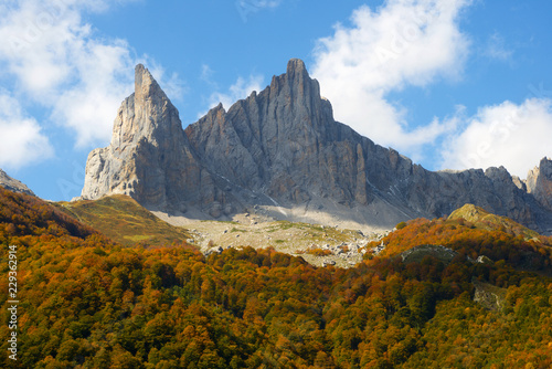 Pyrenees