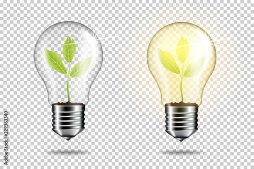 Light bulb with sprout inside plant, isolated.