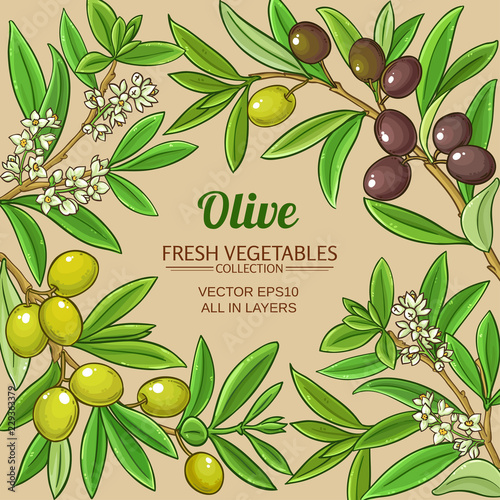 olive vector frame