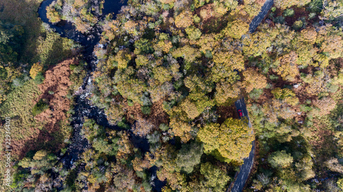 Aerial view of car driving through scenic autumn landscape