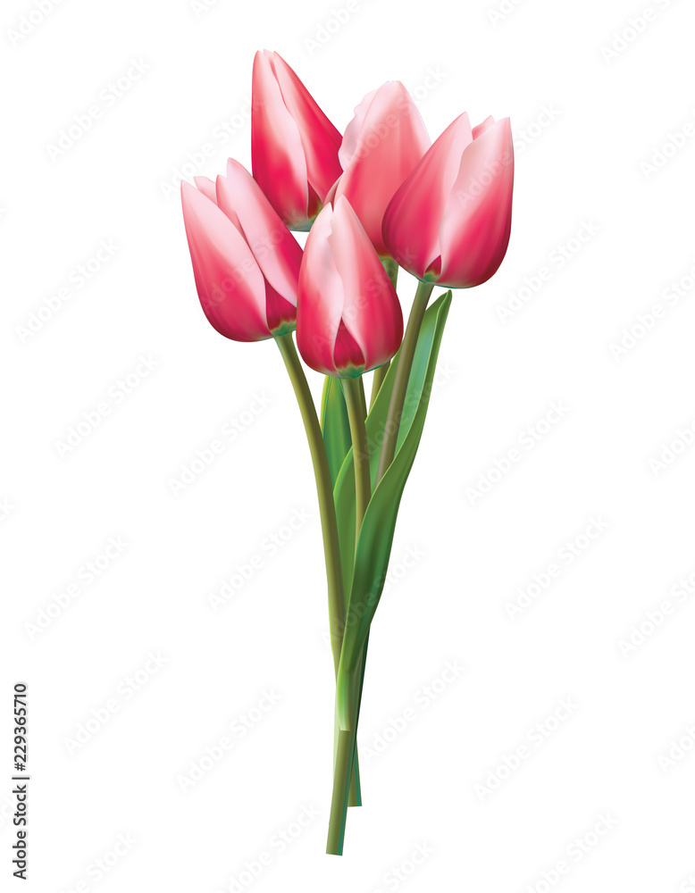 Bouquet of red tulips on a white. Realistic vector 3d illustration Bouquet of red tulips on a white. Realistic vector 3d illustration