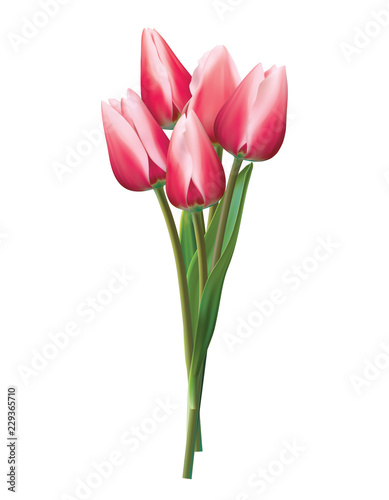 Bouquet of red tulips on a white. Realistic vector 3d illustration