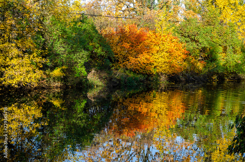 Bright multi-colored colors of the autumn Park
