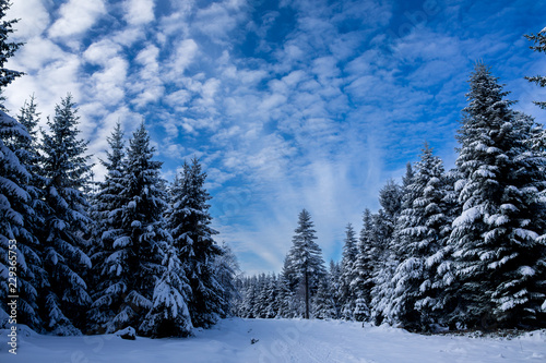 Winterwanderweg im Schwarzwald © EinBlick