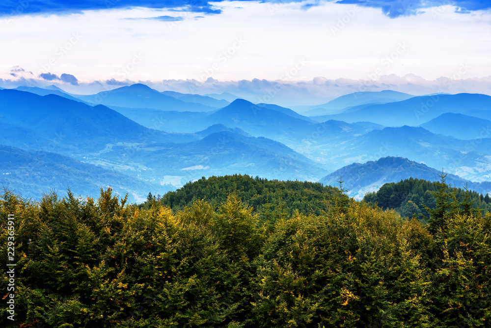 landscape of green forest and mountains