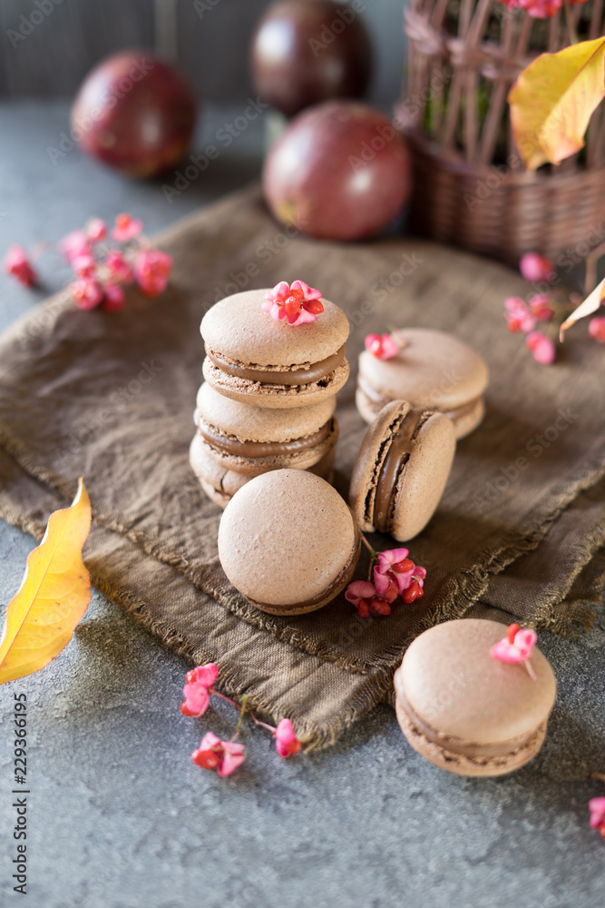 Chocolate macarons and pink flowers Chocolate macarons and pink flowers