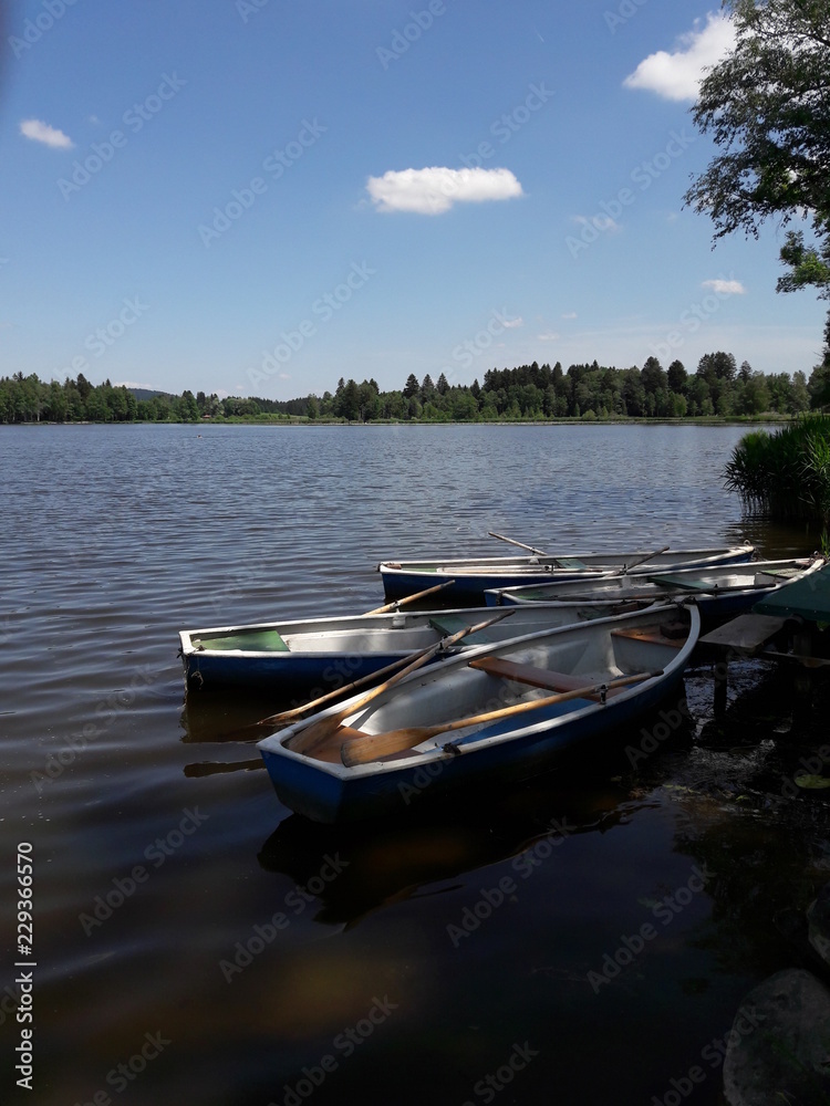 Obraz premium Bad Bayersoien, Oberbayern, Bayern, Soiersee, Boote