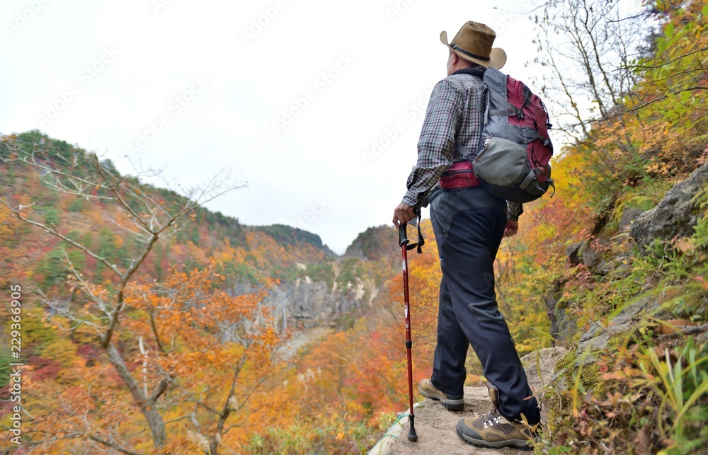 Naklejka premium 紅葉の渓谷を歩く