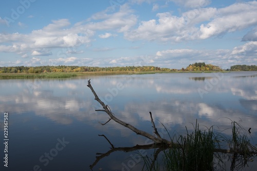 lake in forest