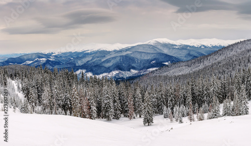 panorama of winter mountains