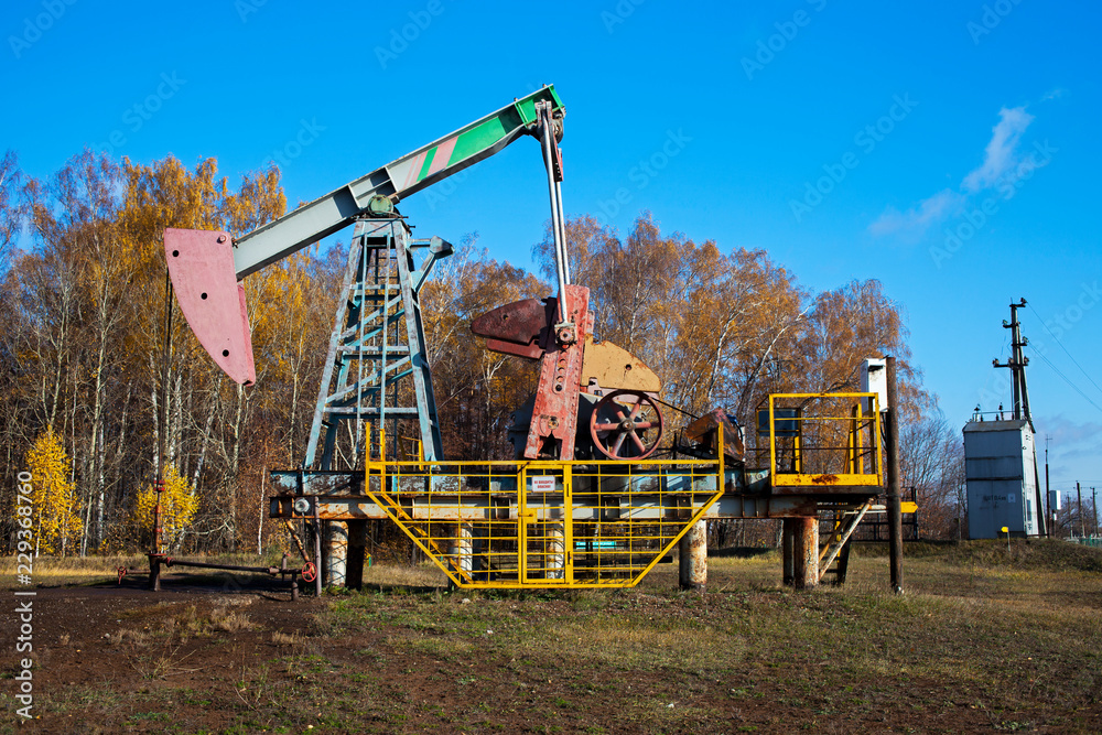 Oil rocking in the autumn forest Oil rocking in the autumn forest