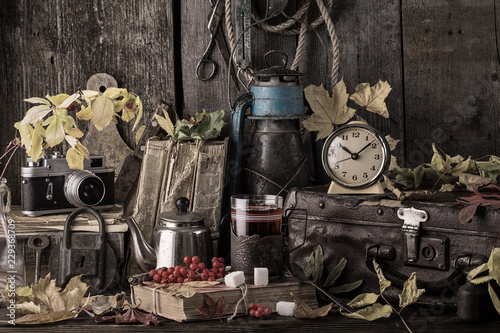  autumn still life with books, vintage suitcase. toned photo