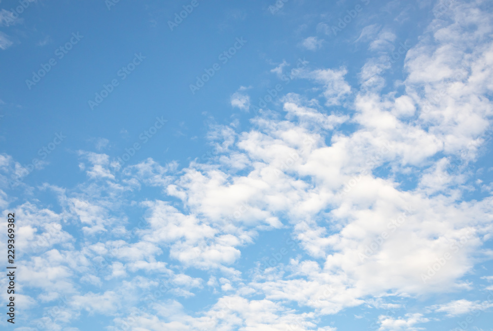 Fototapeta premium Blue sky and clouds sky