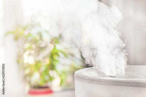 Tableau sur toile Ultrasonic humidifier