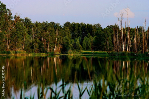 Floodplain of the Klyazma River