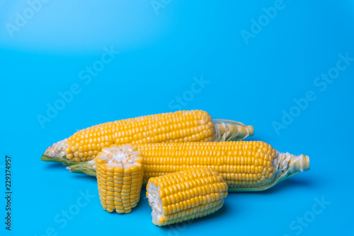 fresh organic corn on blue ...