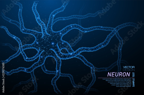 Neuron cell structure.
