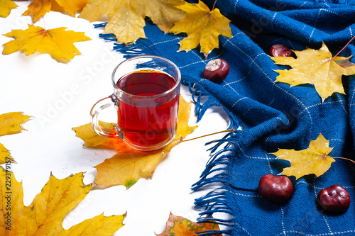 Cup of tea with a blanket and leaves on a white background. Place for text. Autumn, comfort.