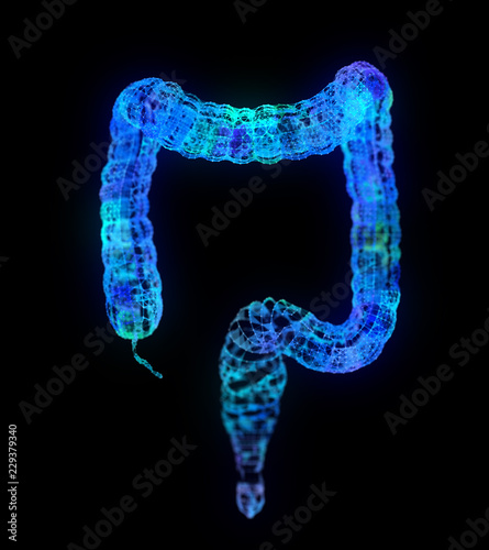 3d rendered illustration of an abstract plexus colon