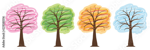 trees four seasons in bright colors spring summer autumn winter