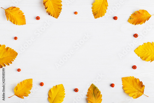 Autumn composition of leaves on a white background. Concept copy space.