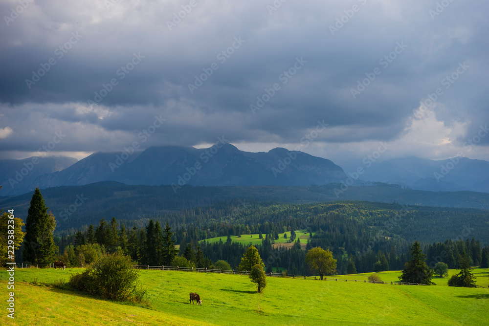 Plakat Scenic view of dramatic mountain landscape of High Tatras in Slovakia.