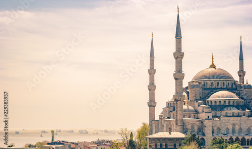 Fotografie, Tablou Minarets and domes of Blue Mosque with Bosporus and Marmara sea in background, Istanbul, Turkey