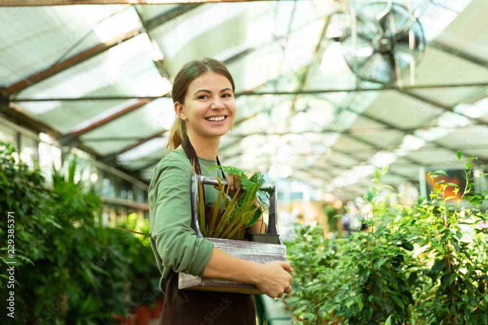 Image of pretty woman gardener 20s wearing apron standing with plants in hands, while working in greenhouse Image of pretty woman gardener 20s wearing apron standing with plants in hands, while working in greenhouse