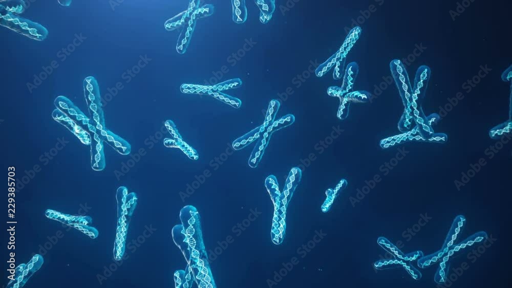 X and Y Chromosome on blue background. Chromosomes with DNA helix inside under microscope. Human chromosome. Illustration X and Y chromosome. Encoded genetic code.