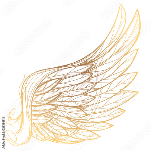 Vector illustration of golden wing, isolated on white background. Design element for emblem, sign, vintage style posters and more.