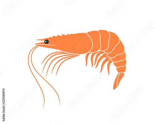 Tiger shrimp logo. Isolated shrimp on white background. Prawns